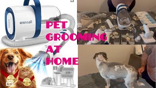I Groomed my Dog with ONEISALL PET GROOMING VACUUM ~Amazon
