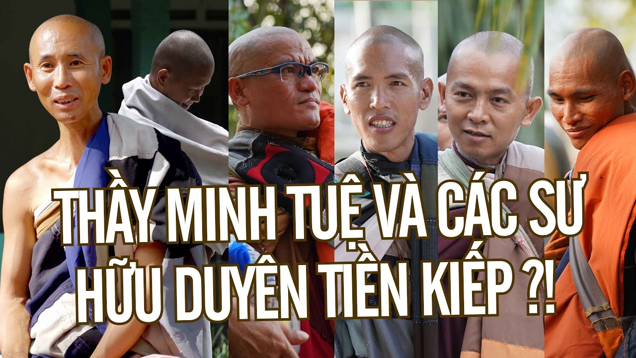 SỨC HÚT CỦA THẦY MINH TUỆ QUA LỜI KỂ CỦA CÁC SƯ | LÝ DO HỌ QUYẾT ĐỊNH TRỞ THÀNH MỘT NHÀ TU HÀNH