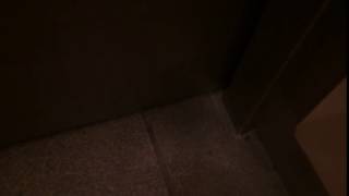 Elevator Classic Leveling