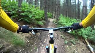 Cannock Monkey Trail