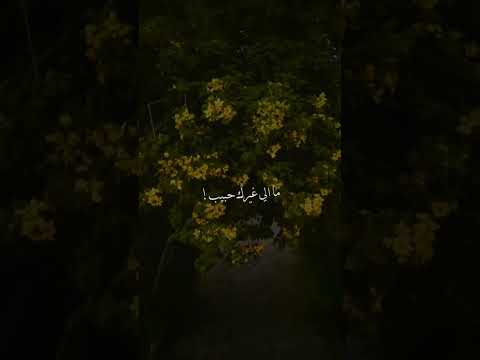 ياحبيبي وياحياتي حسام الرسام اغاني لايك شاشه سوداء حالات واتس حب