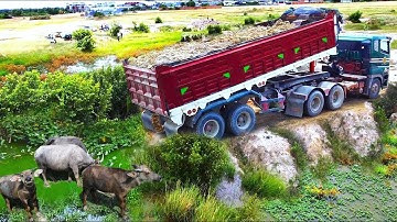 First Start Amazing PROJECT!! LANDFILL Deep Pond In Flooded Area Use SHANTUI C3 Dozer & 25Ton Truck.