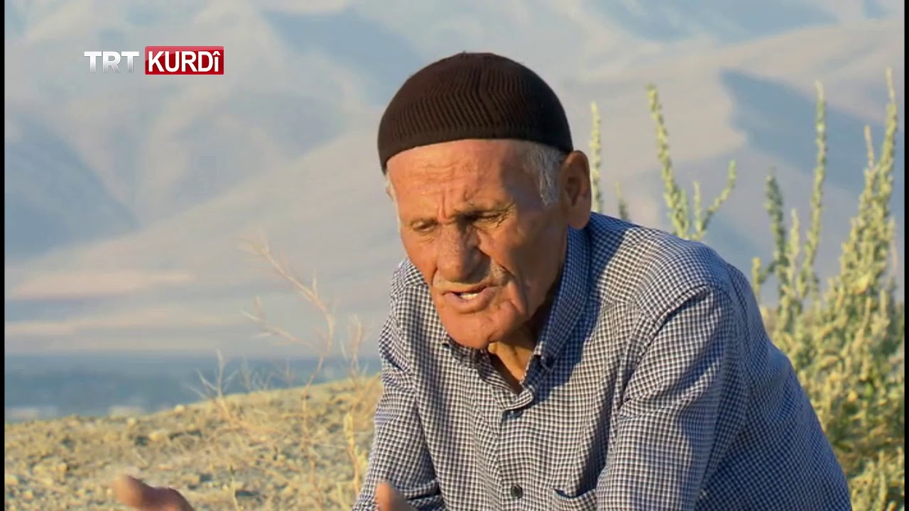 MIROV (İNSAN) BEŞA 4