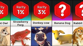 Rarest Animals Probability Comparison pt.2