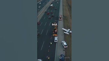 Tragic Plane Crashes of December 2024
