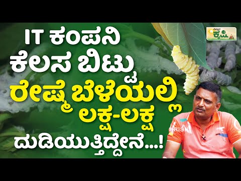 ರೇಷ್ಮೆ ಕೃಷಿಯಲ್ಲಿ ತಿಂಗಳಿಗೆ ಎಷ್ಟು ಲಕ್ಷ ಲಾಭ..? | Silk Farming In Kannada | Sericulture In Karnataka