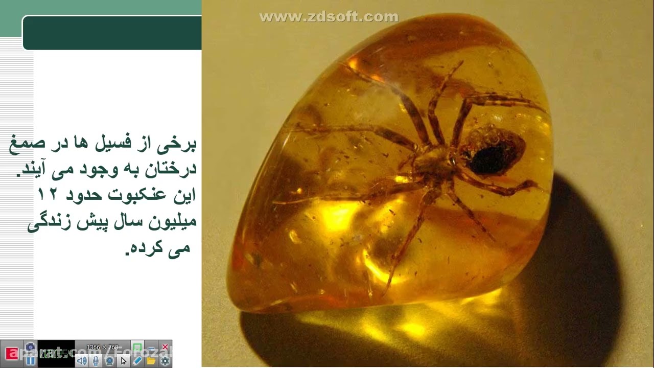 🔥 فسیل‌ها: شرایط، راه‌ها و کاربردها – علوم نهم صفحات ۷۴ تا ۷۹!