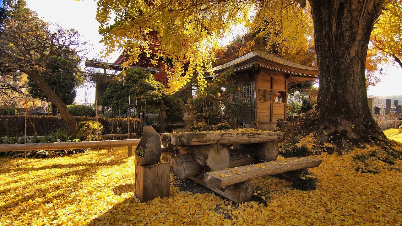 【栃木県那珂川町】白久山  長泉寺の紅葉