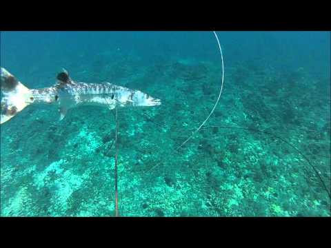 FishingSpore - YouTube