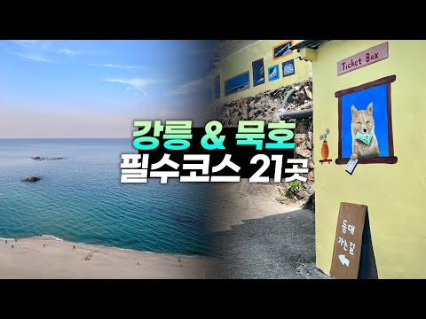 이렇게 알찰 수 없는 강릉 묵호 여행 완벽정리