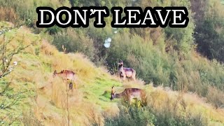 THE BEST HUNTING HAPPENS AFTER RAIN