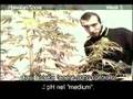 Green House SeedCo Hawaiian Snow Grow with Italian Subtitles