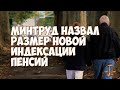 Минтруд назвал размер новой индексации пенсий