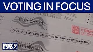 Voting under the microscope