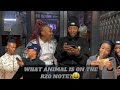 ASKING PEOPLE WHAT ANIMAL IS ON THE R20🤑 NOTE? AT KWANDUNA 🔥😈