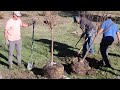 Volunteers plant trees for the new Sage Park Arboretum on Wednesday, Oct. 22.