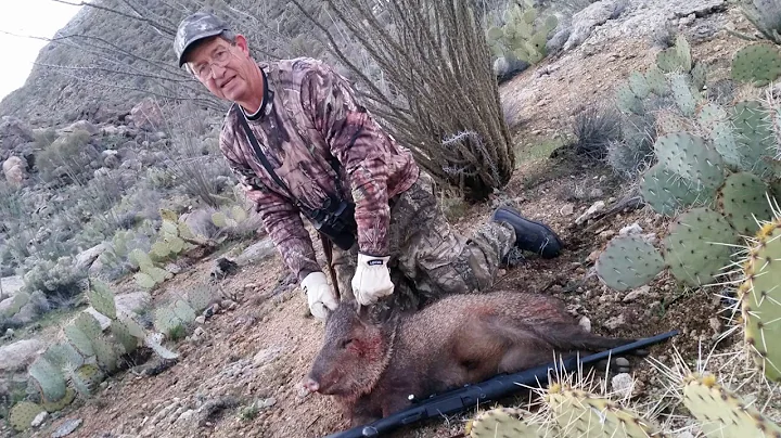 Javelina Hunt 2019