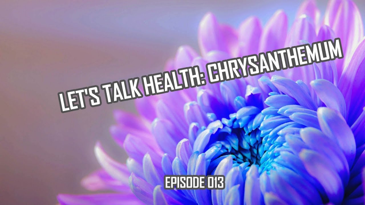 Chrysanthemum History and Health Effects YouTube