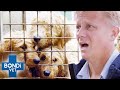 200 puppies  dogs rescued in shocking condition  bondi vet coast to coast s4e6  new full episodes