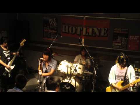 HOTLINE2013　のらねこ