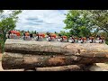 Stihl festival  ms 881 ms 661 ms 651 ms 661c ms 500i ms 461 ms 462 ms 400c