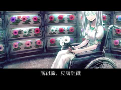 【初音ミク】Calla Soiled - 虚構の光【オリジナル曲】