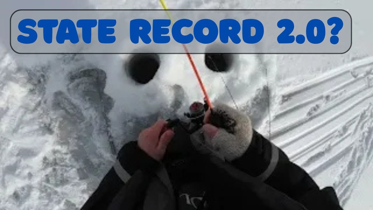 Missed the Chautauqua Lake MONSTER!