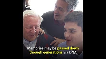 Memories can pass between generations through DNA