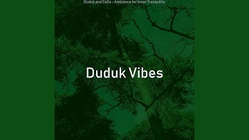 Pulsating Ambience for Meditation