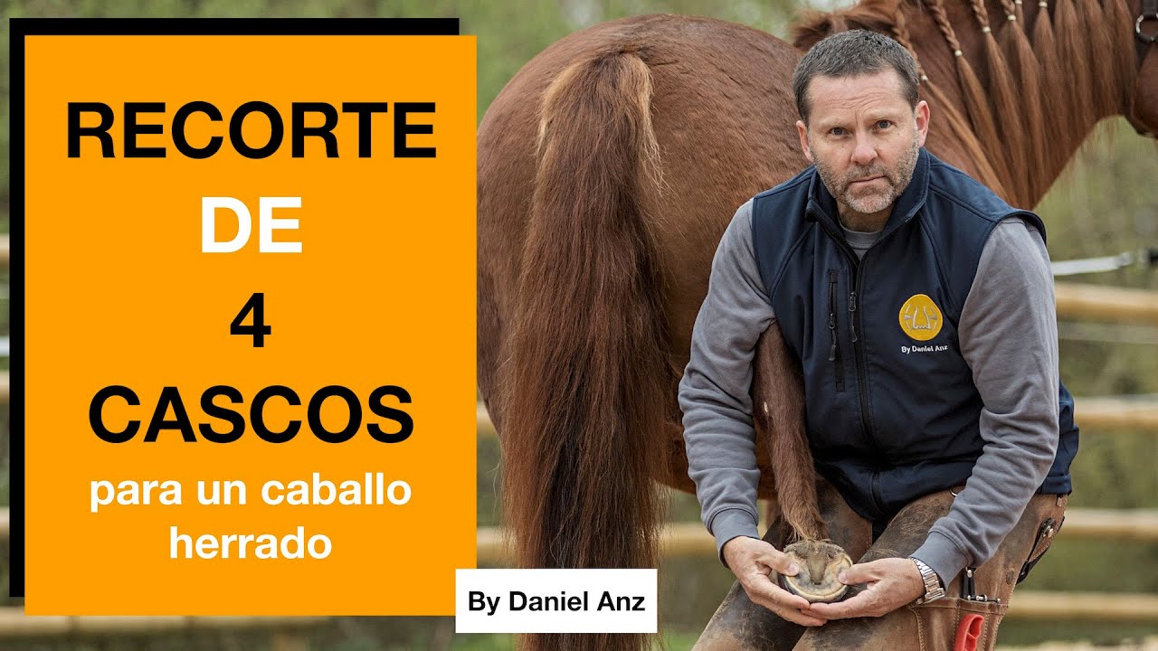 🇪🇸🇬🇧🇩🇪 CÓMO recortar los cascos de un caballo para devolverle su EQUILIBRIO NATURAL 🐴