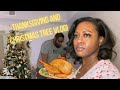 Vlog 2 | Family, Thanksgiving and Holiday Christmas Tree