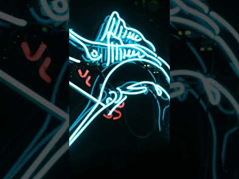 اغرب ٥ معلومات عن سمكة ابو سيف بصيرة