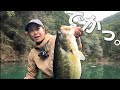 【やばっ】春のバス達が元気すぎた。