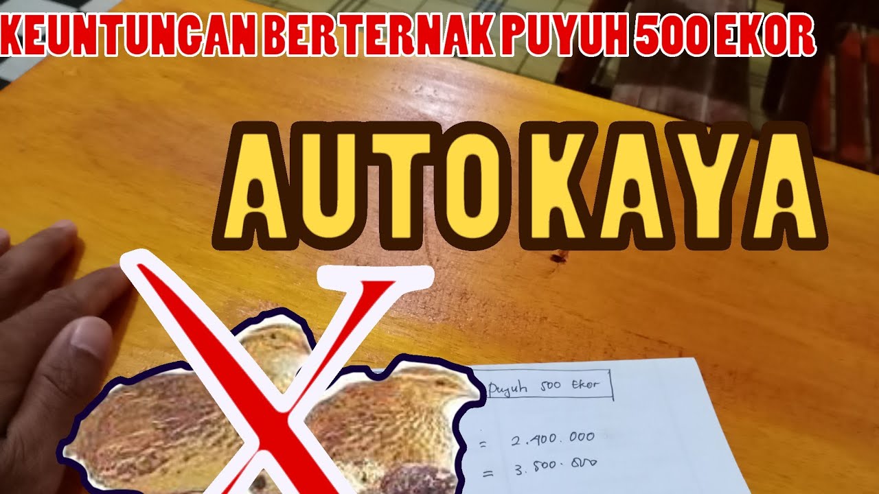#endokbelirik #keuntungan KEUNTUNGAN TERNAK PUYUH 500 EKOR 