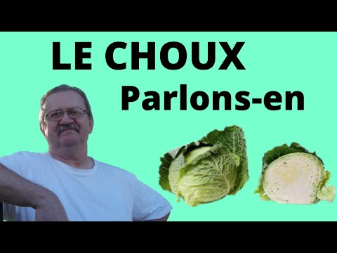 Vidéo: Les Aliments Strumogènes Ou Pourquoi Le Chou Grossit