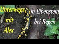Unterwegs mit Alex in Eibenstein bei Regen