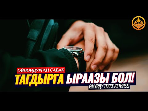 Video: Тармактык убакытты текке кетирүүбү?