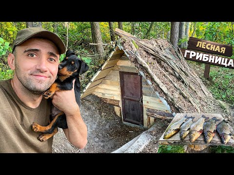 Видео: Сделал крутую грибницу В лесном лагере Поставил сеть Замаренованные караси жаренные