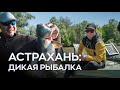 Дикая рыбалка в Астрахани - открытый слёт ELLIS