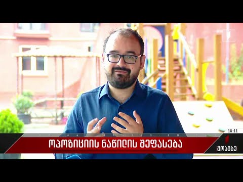 ოპოზიციის ნაწილის შეფასება