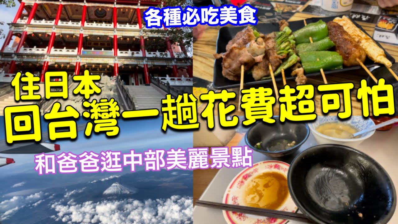 日本新家地毯開箱、回台灣一趟花費超可怕😱💲各種台灣必吃美食、日本國民便當🍱超市購物、台灣日本生活美食vlog
