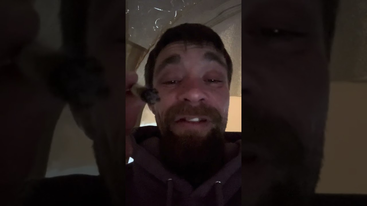 TERPY TIME TASTE BUDS - NEW DROP !!!! - NAMELESS GENETICS - MEGA WELLNESS OG 