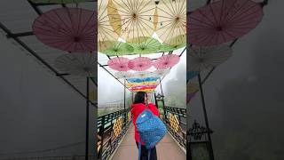 This Bridge Walk Feels Like a Movie 😅😊🫶🏻❤️
