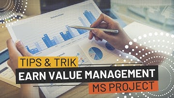 MS Project - Earned Value Management