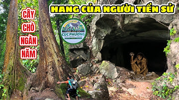 Khám phá hang động của người Tiền Sử và đi tìm cây Chò ngàn năm trong Vườn Quốc gia Cúc Phương