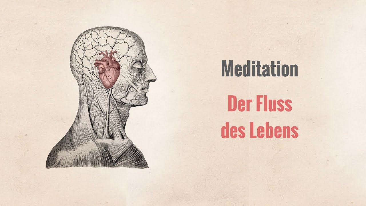 Der Fluss des Lebens