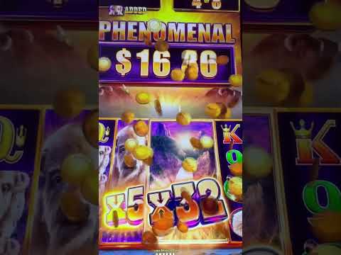 Jetzt bei Platincasino anmelden: Entdecke die Welt des Online-Casinos in Deutschland