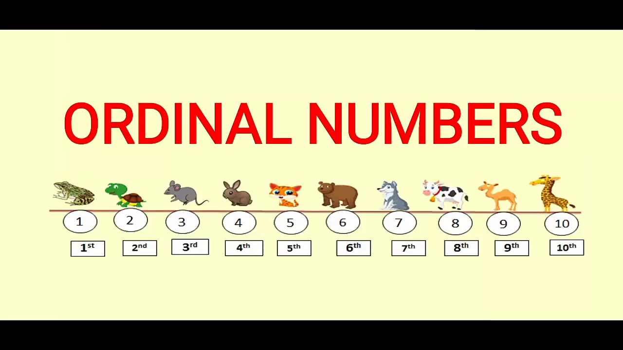 Ordinal Numbers1th to10thLearn ordinal Numbers easily for kids
