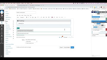 The Accordion Feature - Canvas Design Editor Tools