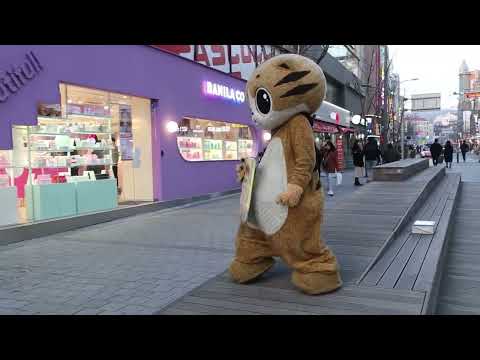 JHKTV] 신촌 명물고양이내가누구 댄스왕  shin chon special <strong>cat</strong> Who am I the dance <strong>king</strong>